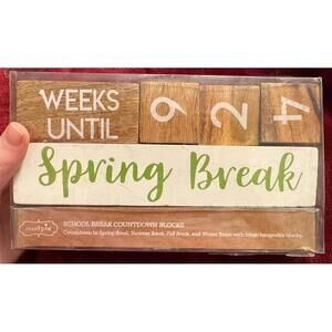 School Break Countdown Blocks - New in Packaging